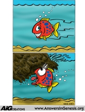Fish gets buried.