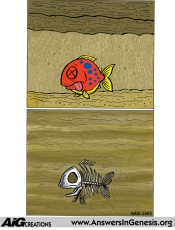 Fish becomes fossil