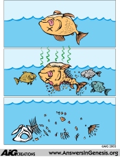 Fish becomes food
